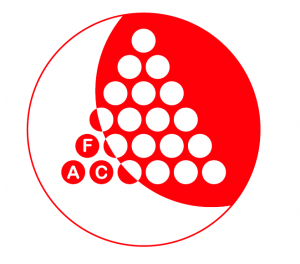 Logo_100castiglioni-big